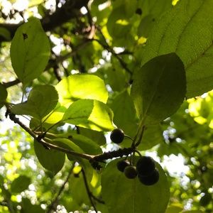 Meet your Posher, Debora